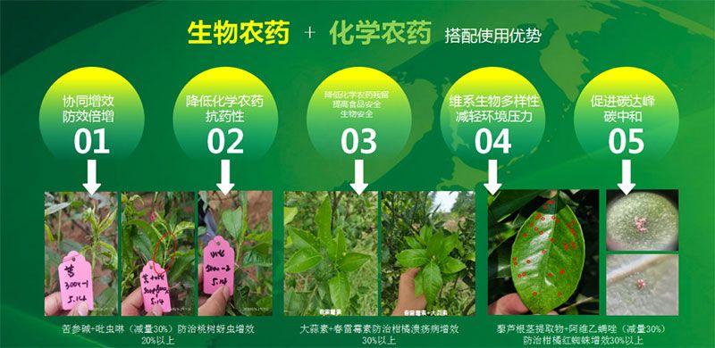 新朝陽在第六屆中國農(nóng)藥行業(yè)市場和銷售高峰論壇做“生物農(nóng)藥+化學(xué)農(nóng)藥，引領(lǐng)植保市場未來”主題報(bào)告