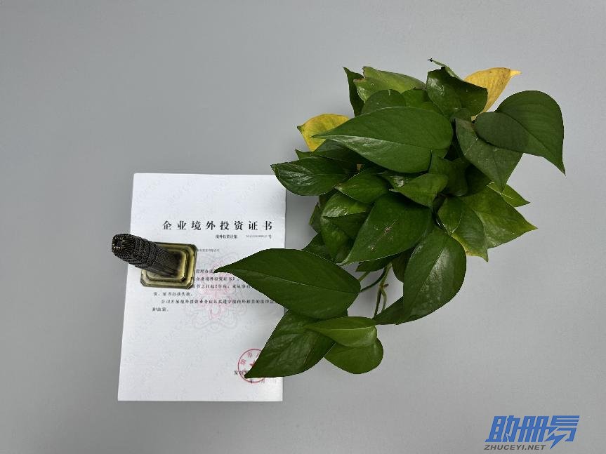 海外公司后期維護知識介紹！